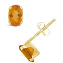 Gemstone Stud Earrings in 10k Yellow Gold