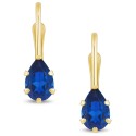 Gemstone Earrings in 10K Yellow Gold